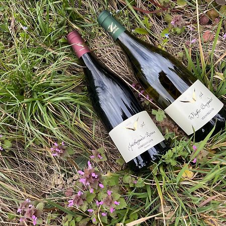 보츠부르크 Weingut & Strausswirtschaft Vogel 아파트 외부 사진