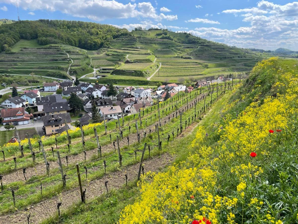 보츠부르크 Weingut & Strausswirtschaft Vogel 아파트 외부 사진