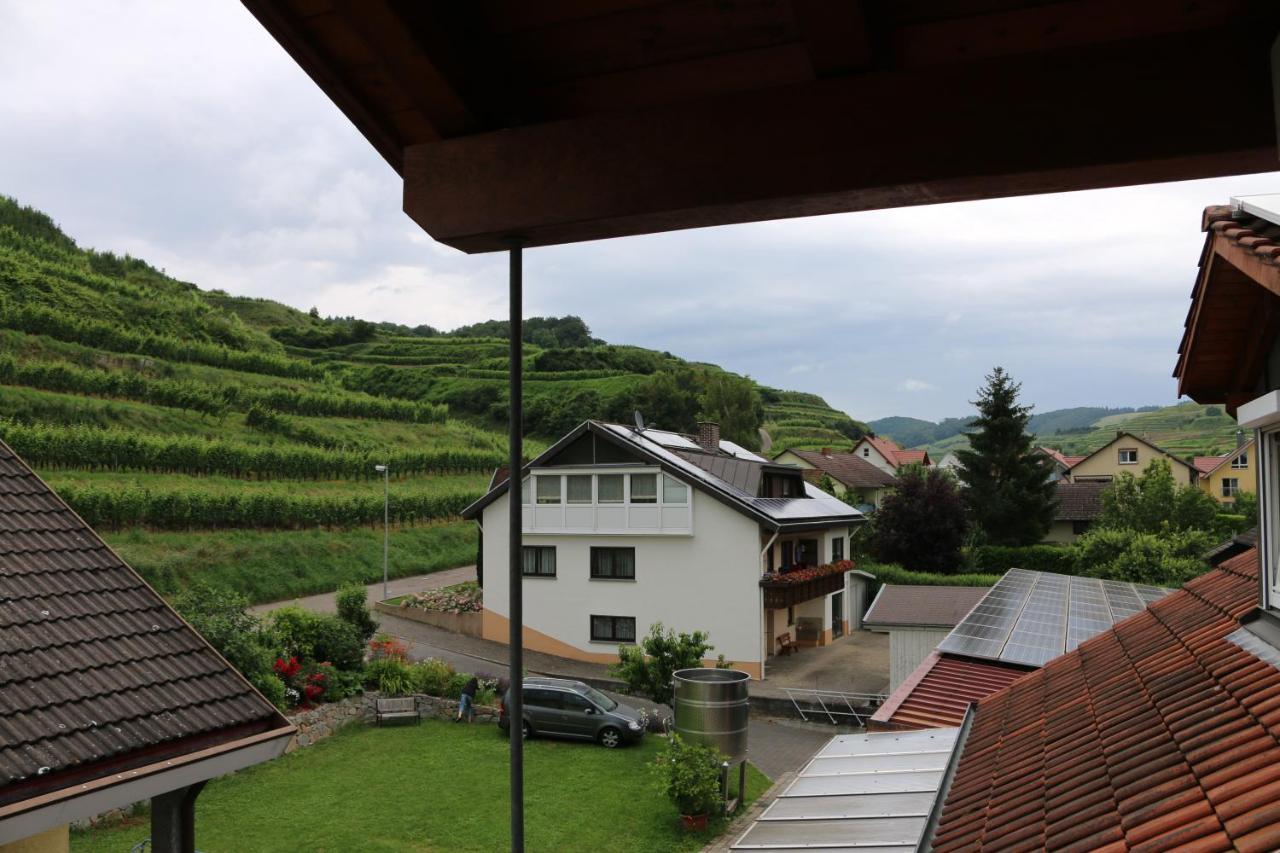 보츠부르크 Weingut & Strausswirtschaft Vogel 아파트 외부 사진