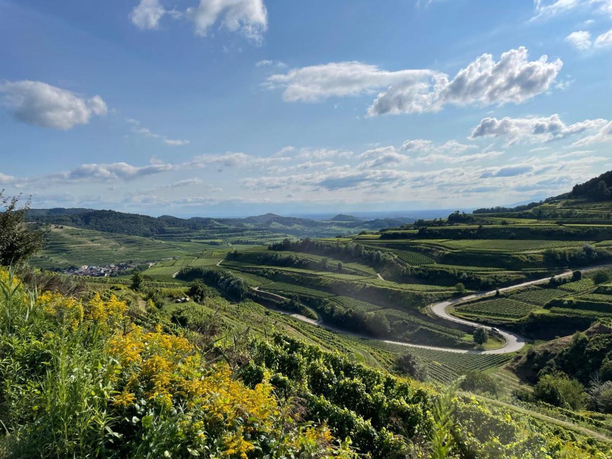 보츠부르크 Weingut & Strausswirtschaft Vogel 아파트 외부 사진