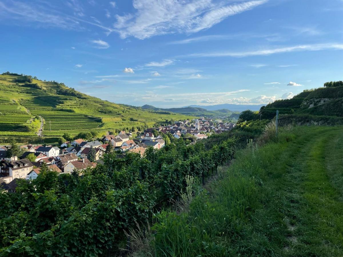 보츠부르크 Weingut & Strausswirtschaft Vogel 아파트 외부 사진