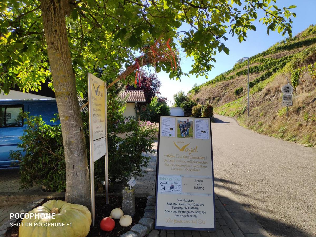 보츠부르크 Weingut & Strausswirtschaft Vogel 아파트 외부 사진