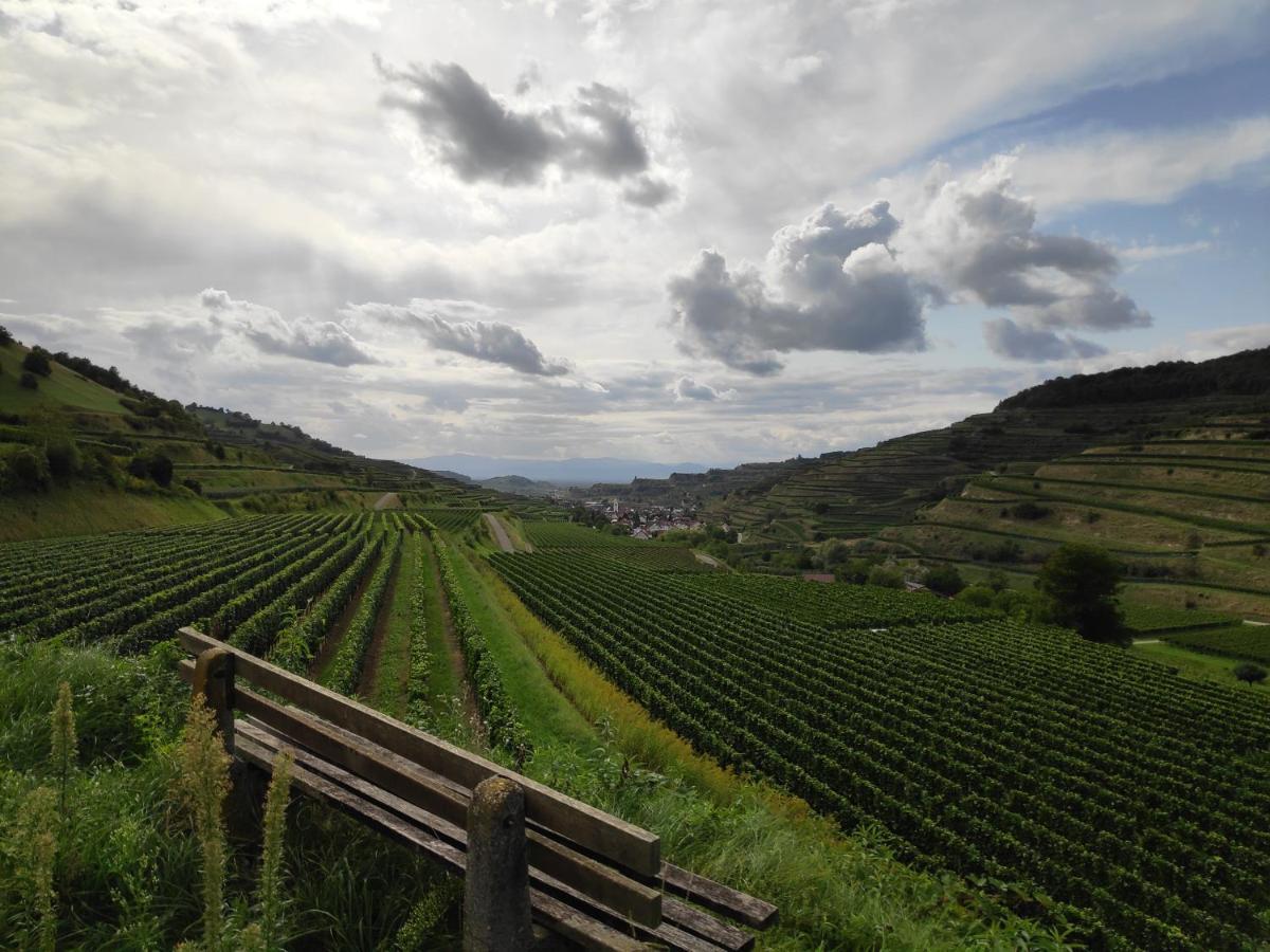 보츠부르크 Weingut & Strausswirtschaft Vogel 아파트 외부 사진
