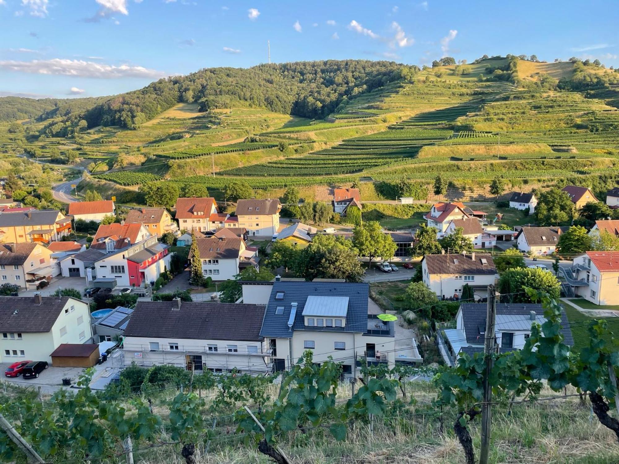 보츠부르크 Weingut & Strausswirtschaft Vogel 아파트 외부 사진